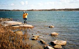 Make snagging a greedy pike from the island shore near the cabin. Photo SFM-toimitus