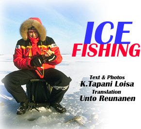 ICE-FISHING part 1: Perches Perch is the most common fish species in Finland. It is distributed all over the country fro