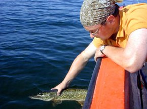 Arnulf is reviving and releasing one of the pikes