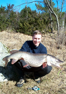 March 2002
