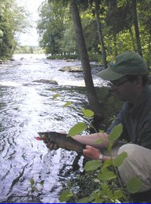 Jari's legal size trout, which took a red wobbler