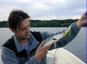 Small pikes did not know, that we were fishing zanders.