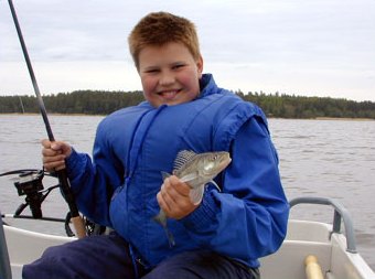 Lassi had at his best a zander with four casts in the row.