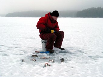 The first icefished perches of Teemu Photo KariA