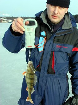 In the morning perches were like this about 300 g. In the afternoon they got bigger, the biggest was Seppo's 460 g