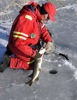 This 3 kilos pike wanted to act on video. Robert was filming the swim of the jig, when the pike hit on Pingo's offer. Th