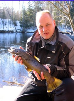 A really nice Kapeenkoski springtime trout.