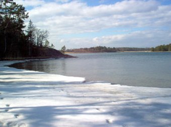 Tässä poukamassa oli paljon liikennettä. Kuva SFM-toimitus