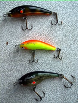 The Salmon Wobbler of November