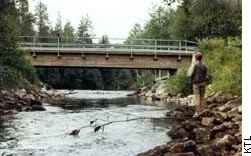 Saramojoki Pohjois-Karjalan pohjoisin urheilukalastusjoki. SFM-toimitus