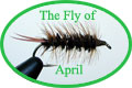 The Fly of May White Matuka (16.5.2002) Stimulator (21.4.2002) Spent Parachute The Fly Of August 2001