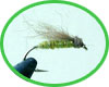The Fly of September Jani's Pupa (8.9.2002)
