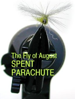 The Fly of May White Matuka (16.5.2002) Stimulator (21.4.2002) Spent Parachute The Fly Of August 2001