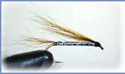 MICKEY FINN