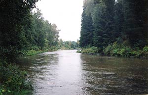 Mustakosken alapuoli.