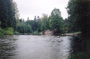Mustakosken yläpuoli.